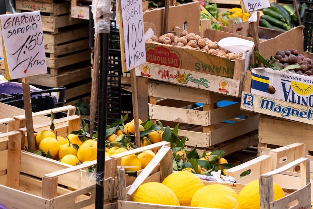 découvrez l'importance des vitamines pour votre santé ! apprenez comment elles soutiennent votre bien-être, renforcent votre système immunitaire et améliorent votre vitalité au quotidien. explorez les différentes sources de vitamines et leurs bienfaits.