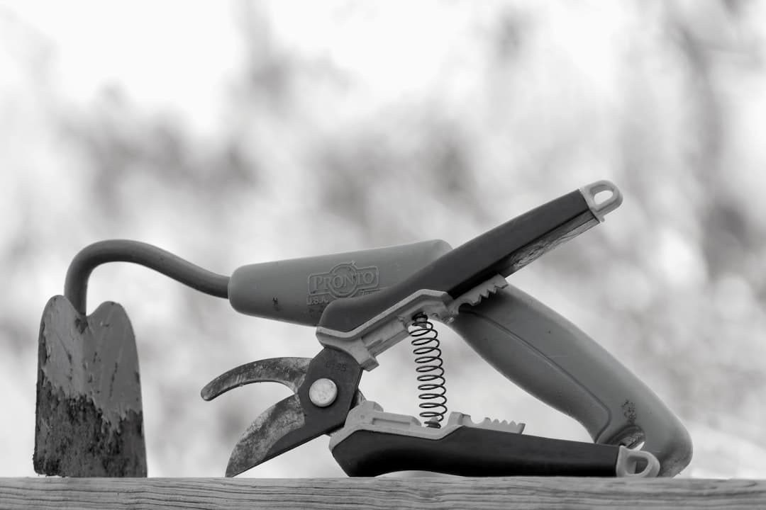 découvrez le processus de 'dkny pruning', une technique essentielle pour optimiser la croissance et la santé de vos plantes. apprenez des astuces pratiques pour maintenir vos jardins luxuriants et améliorer l'esthétique de vos espaces extérieurs.