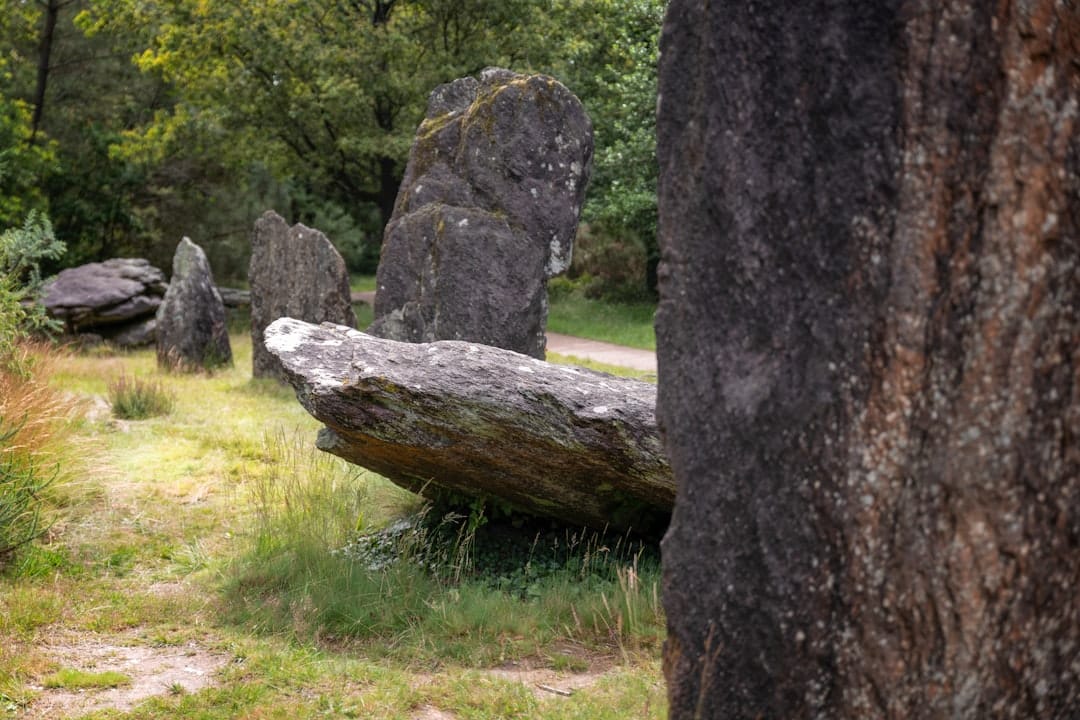 descubra a fascinante história dos menires, estes emblemáticos monumentos megalíticos, testemunhas de ritos e crenças de civilizações antigas. explorar seu significado e influência em nossa herança cultural.