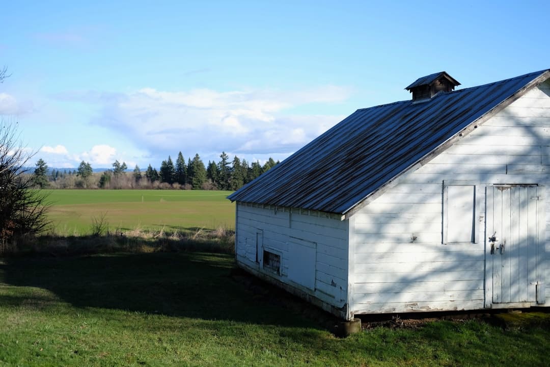 Oppdag viktigheten og egenskapene til det skyggefulle området i landskapsarbeid, skaping av mikroklima og valg av passende planter for en balansert og harmonisk hage.